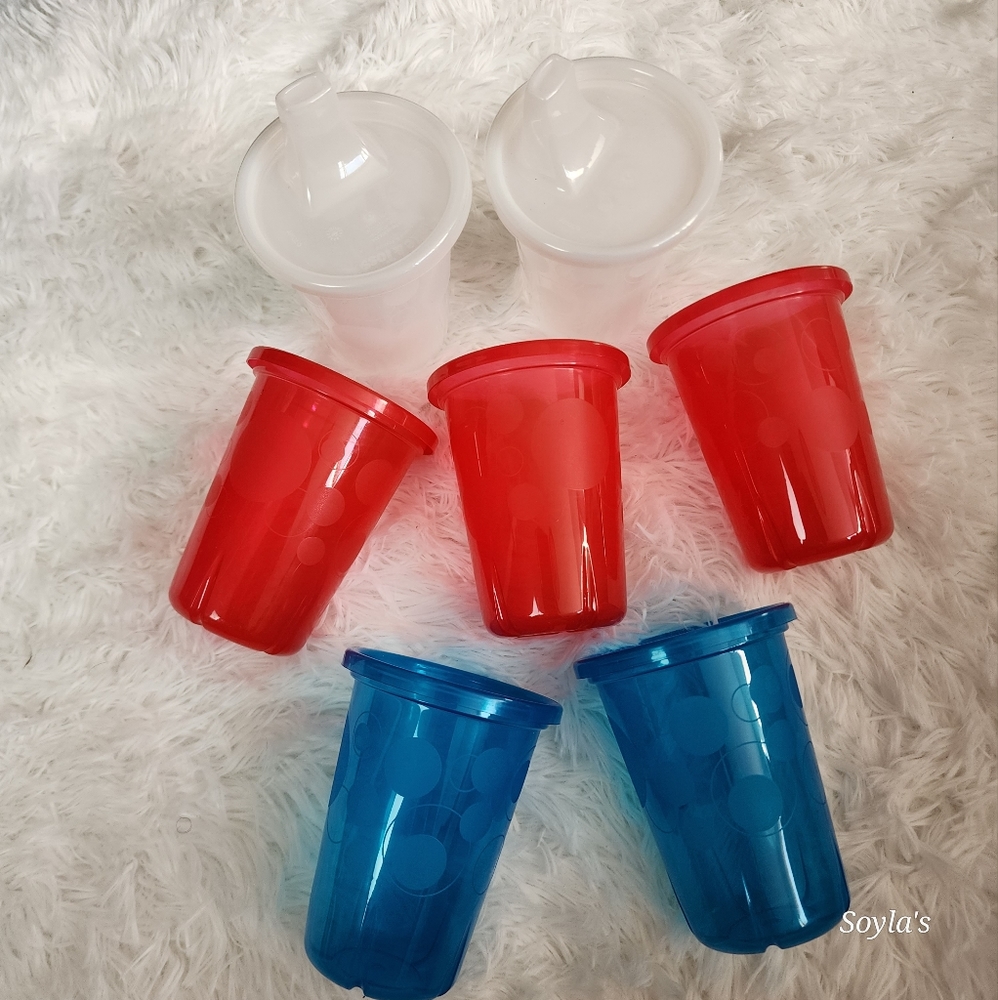 Kids Sippy Cup Set